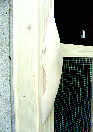 Detail des Griffes - Lindenholz