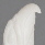Adler